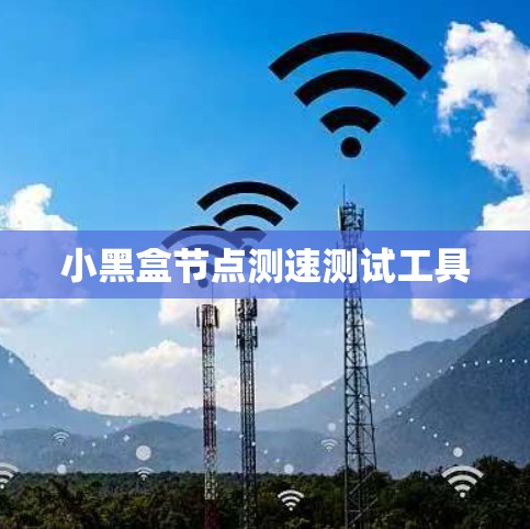 小黑盒节点测速测试工具