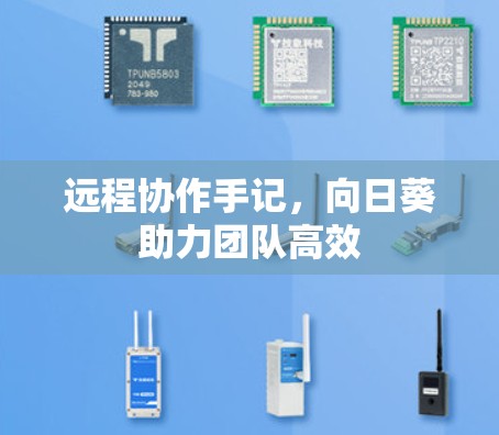 远程协作手记，向日葵助力团队高效