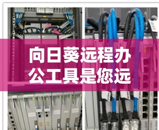 向日葵远程办公工具是您远程办公的理想选择，它可以满足您的多种需求。根据您的使用习惯和需要，以下是详细的建议