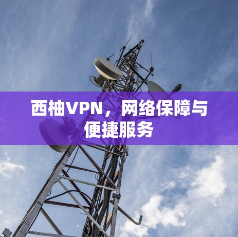 西柚VPN，网络保障与便捷服务