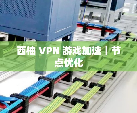 西柚 VPN 游戏加速｜节点优化