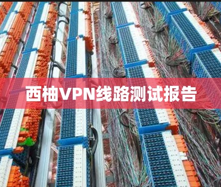 西柚VPN线路测试报告