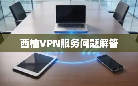 西柚VPN服务问题解答