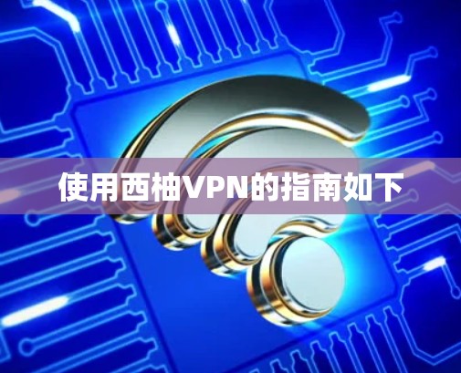 使用西柚VPN的指南如下