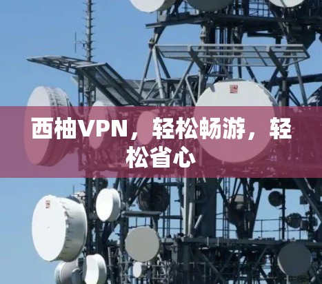 西柚VPN，轻松畅游，轻松省心