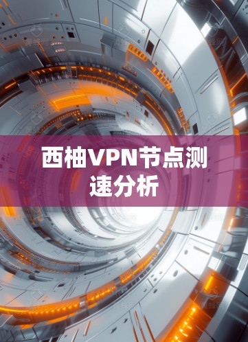 西柚VPN节点测速分析