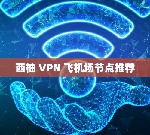 西柚 VPN 飞机场节点推荐