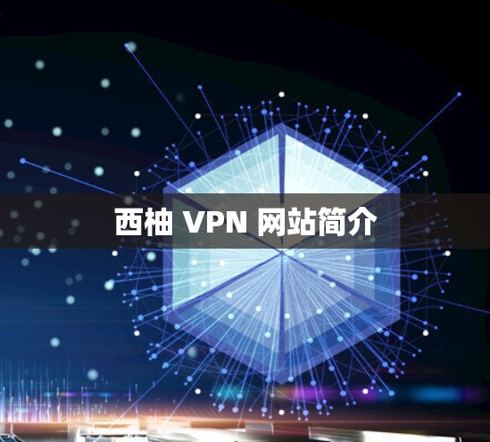 西柚 VPN 网站简介