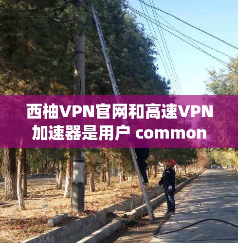 西柚VPN官网和高速VPN加速器是用户 commonly 需要的VPN服务，但需要注意的是，推荐的具体服务可能会因平台而异，因此以下是一些建议和信息