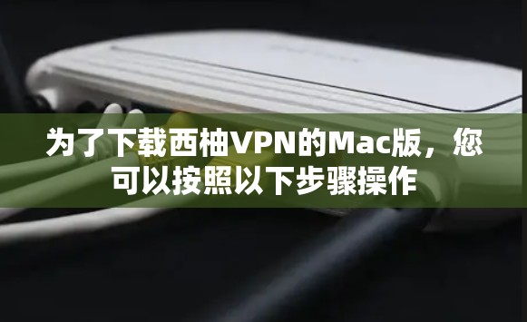 为了下载西柚VPN的Mac版，您可以按照以下步骤操作