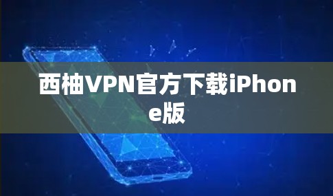 西柚VPN官方下载iPhone版