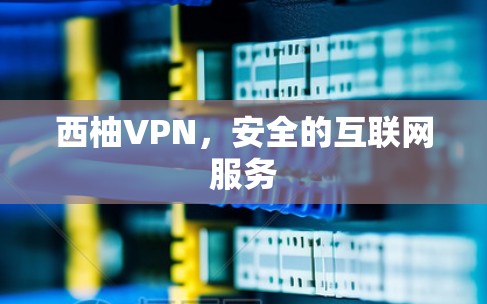 西柚VPN，安全的互联网服务