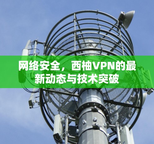 网络安全，西柚VPN的最新动态与技术突破