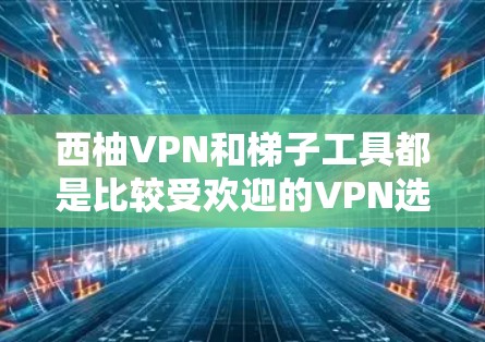 西柚VPN和梯子工具都是比较受欢迎的VPN选择，但它们各有特点，适合不同的用户需求。以下是对两者进行评测的思考过程