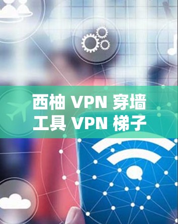 西柚 VPN 穿墙工具 VPN 梯子体验