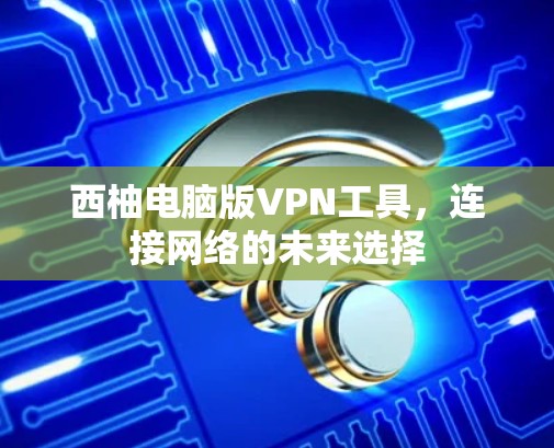 西柚电脑版VPN工具，连接网络的未来选择