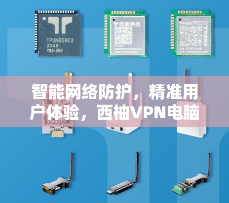 智能网络防护，精准用户体验，西柚VPN电脑版全面解析与用户评价
