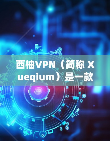 西柚VPN（简称 Xueqium）是一款基于 hopscotch 技术的多层协议 VPN 应用，旨在提供安全、可靠和无缝连接的网络服务。以下是关于西柚VPN的安装和使用教程，特别针对安卓设备