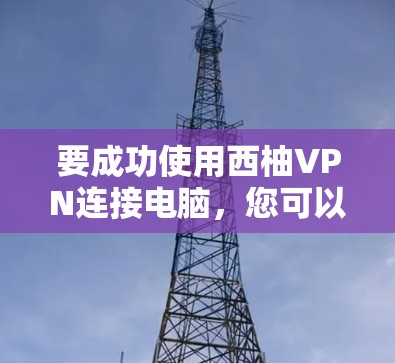 要成功使用西柚VPN连接电脑，您可以按照以下步骤操作