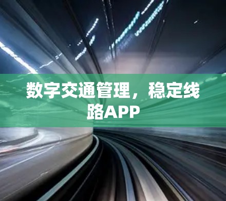 数字交通管理，稳定线路APP