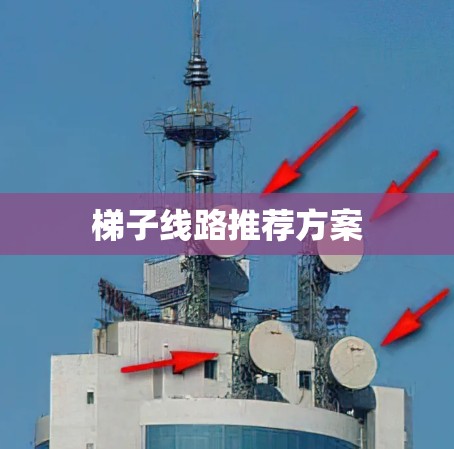 梯子线路推荐方案