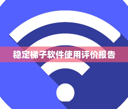 稳定梯子软件使用评价报告
