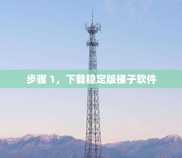 步骤 1，下载稳定版梯子软件