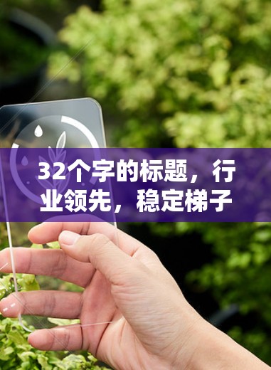 32个字的标题，行业领先，稳定梯子排行