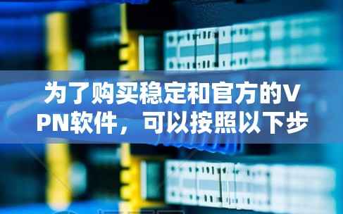 为了购买稳定和官方的VPN软件，可以按照以下步骤进行
