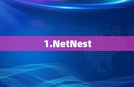 1.NetNest