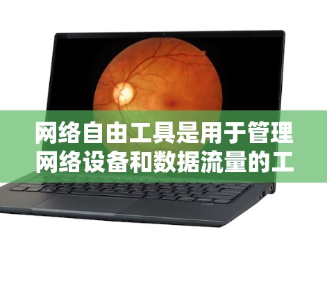 网络自由工具是用于管理网络设备和数据流量的工具，包括防火墙、流量监控和监控工具。以下是逐步的指南，帮助你学习和使用这些工具