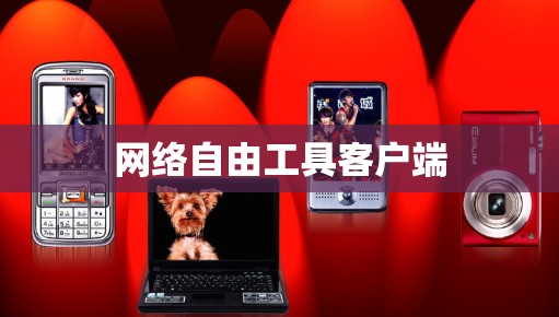 网络自由工具客户端