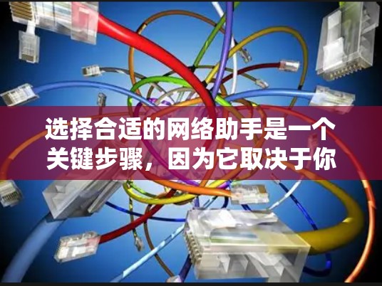 选择合适的网络助手是一个关键步骤，因为它取决于你的具体需求和预算。以下是一些综合考虑的因素和建议，帮助你做出明智的选择