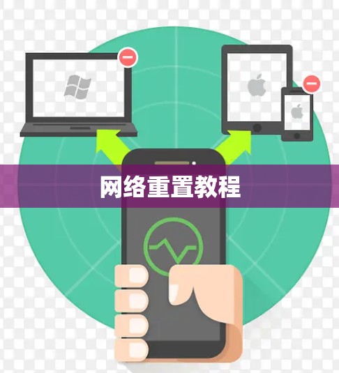 网络重置教程
