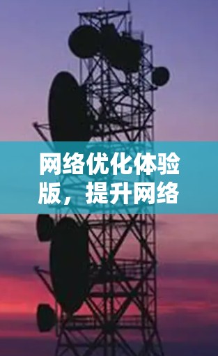 网络优化体验版，提升网络效率，增强用户体验
