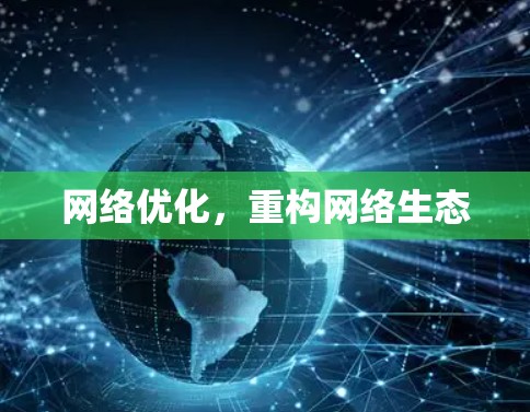 网络优化，重构网络生态