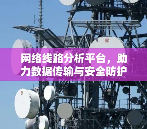网络线路分析平台，助力数据传输与安全防护