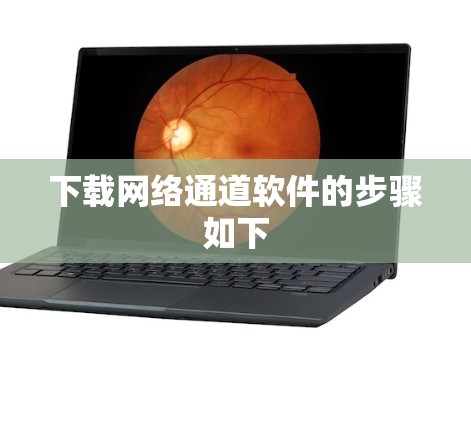 下载网络通道软件的步骤如下