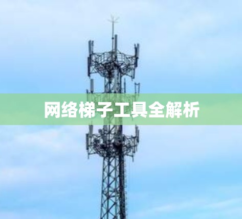 网络梯子工具全解析