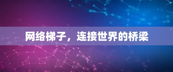 网络梯子,连接世界的桥梁 网络梯子,连接世界的桥梁
