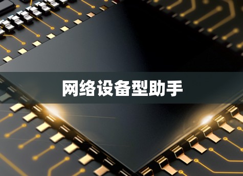 网络设备型助手