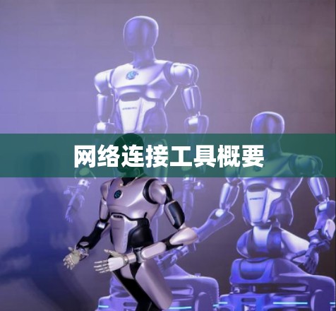 网络连接工具概要