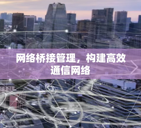 网络桥接管理，构建高效通信网络