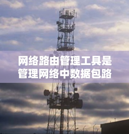 网络路由管理工具是管理网络中数据包路由的工具，主要包括路由器、交换机和网络接口等设备。以下是对这些工具的详细学习步骤