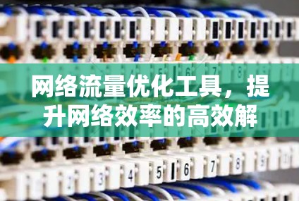 网络流量优化工具，提升网络效率的高效解决方案