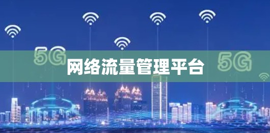 网络流量管理平台