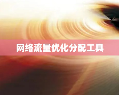 网络流量优化分配工具