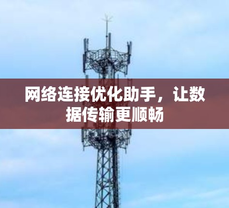 网络连接优化助手，让数据传输更顺畅