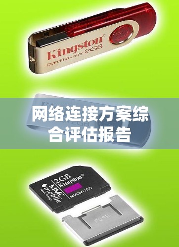 网络连接方案综合评估报告