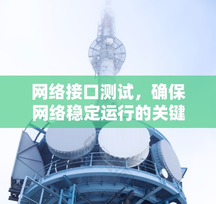 网络接口测试，确保网络稳定运行的关键步骤